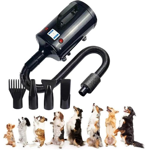 Dog hair dryer pet - dog,