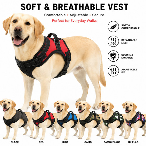 Dog harness pull - harness,