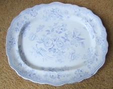 LARGE TE & Co Antique Blue & White Asiatic Pheasant  Dresser Meat Plate Platter