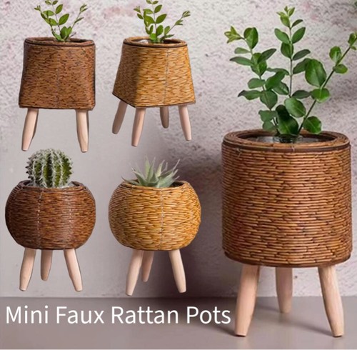 Woven basket plant - plant, with
