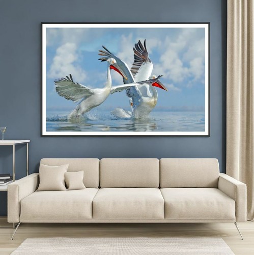 Cranes water close - water,
