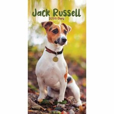 Carousel Worldwide Jack