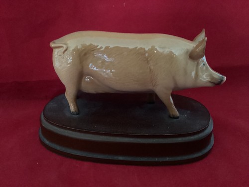 Royal doulton tamworth pig - doulton,