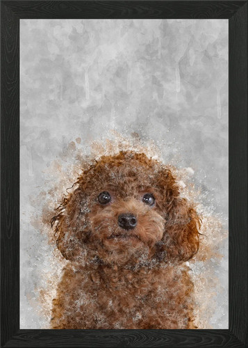 Poodle puppy framed - puppy, wall