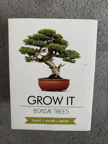 Bonsai tree kit grow - kit, your
