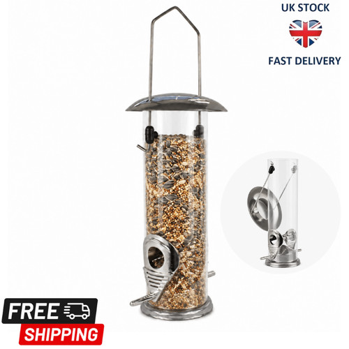 Hanging wild bird - wild,