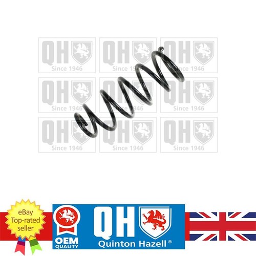 Rear coil spring - rear, for