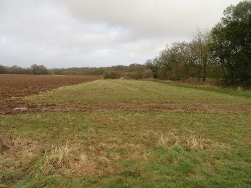 Photo 6x4 wild corner - corner, lower