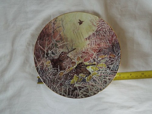 Wedgwood woodland retreat - wedgwood,