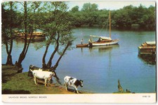 Salhouse Broad Norfolk Broads