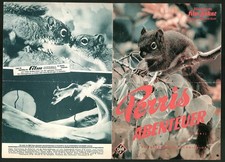 Filmprogramm IFB Nr. 4350, Perris Abenteuer, Naturdokumentation, Regie: N. Paul 