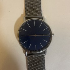 Skagen SKW6420 Titanium Mens