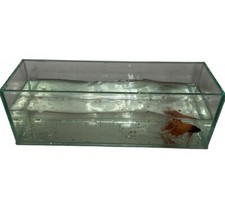 Beautiful Mini Aquarium High