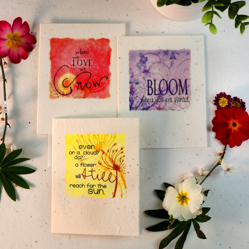 Seeded paper eco - seeded,