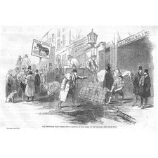 LONDON Arrival of Sheep at the