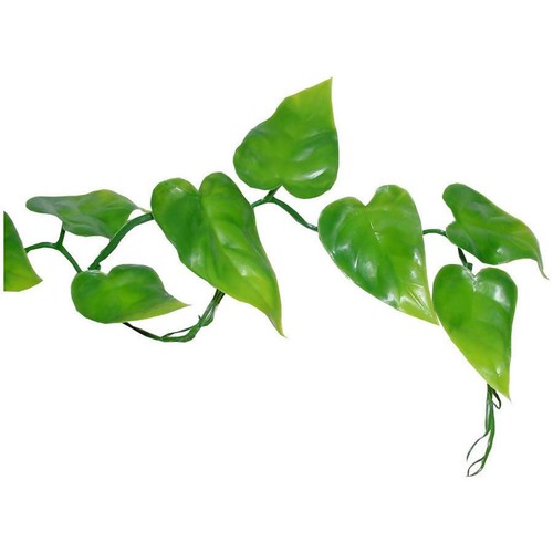 Lucky reptile philo vine - lucky,