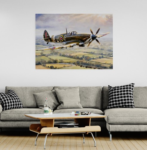 Spitfire style plane aircraft - style,