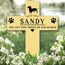 Cross Yellow Dachshund Dog Pet