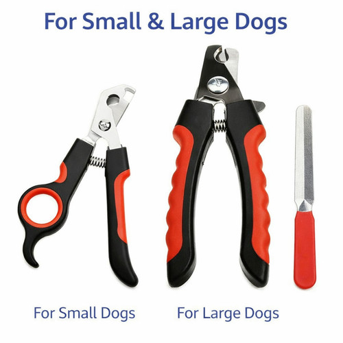 Pet nail clippers dog - pet,