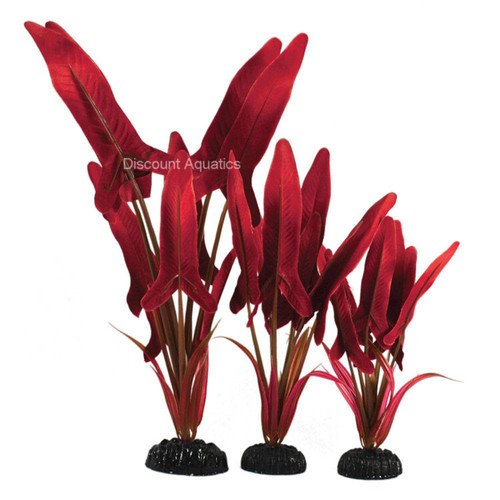 Palaefolius red silk - ,