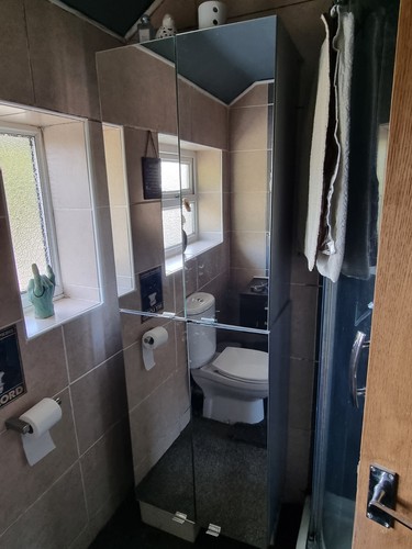 Bathroom cabinets - bathroom,