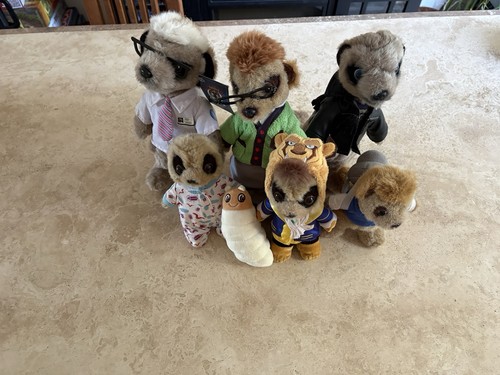 Meerkat soft plush toys - plush,