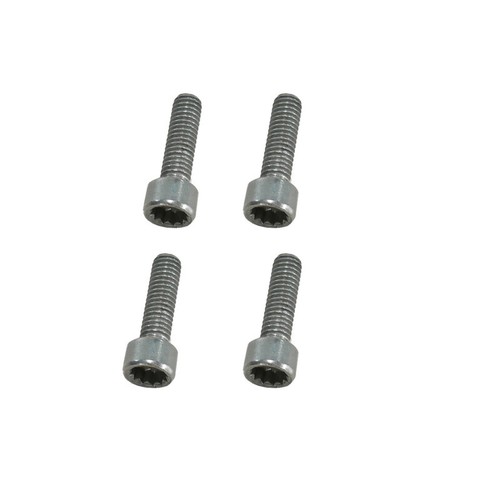 Cylinder screw stainless - 4x,