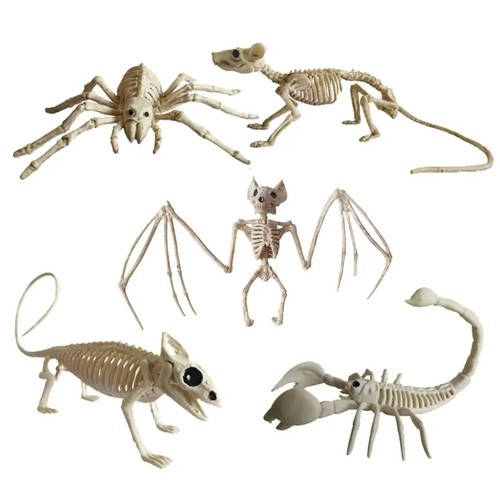 Halloween skeleton wolf - halloween,