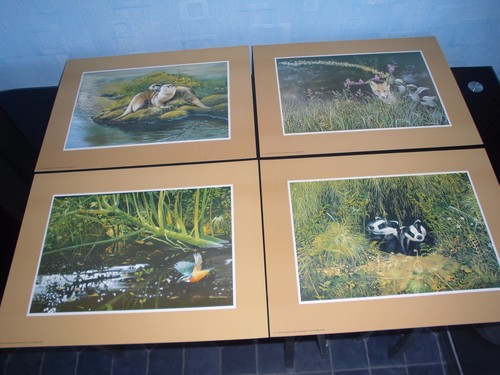 Rare pollyanna pickering - 4,