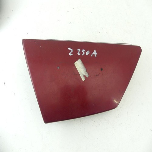 Kawasaki 250 side cover - 250,