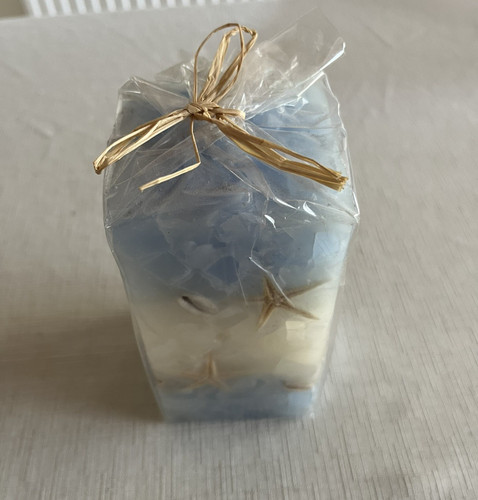 Seashell embedded - seashell,