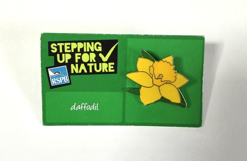 Rspb daffodil enamel - daffodil, badge