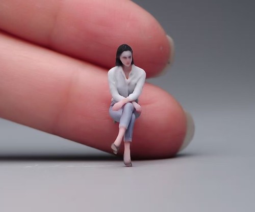 Painted figure model - 1:64,