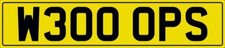 WOOPS WHOOPS NUMBER PLATE W300