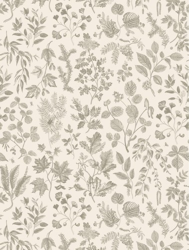 Dainty botanical a2 rice - botanical,