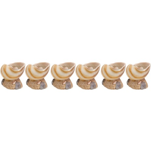 Beige resin conch succulent - resin,