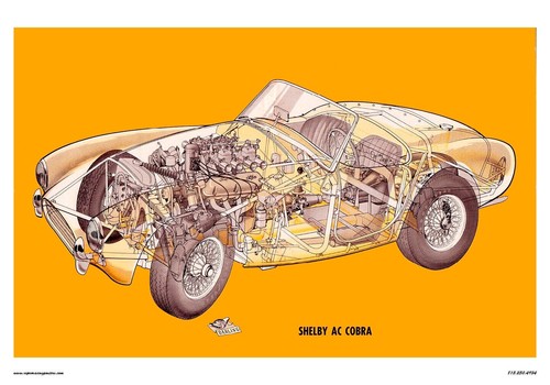 Shelby cobra cut - a,