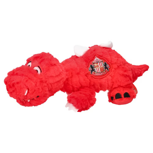 Sunderland football - sunderland,