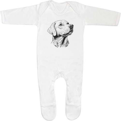 Labrador retriever baby - ',