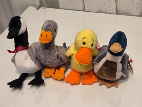 Beanie babies loosy - ty,