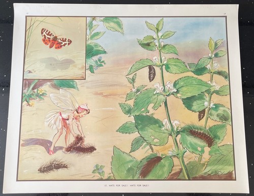 Vintage 1950s enid - enid, blyton
