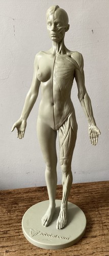 Nice female 3dtotal com half - female,