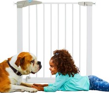 Munchkin Lindam Stair Gate |