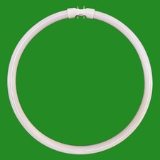 2x 40W BELL Circular 2GX13 4