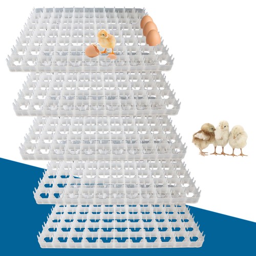 Egg hatching incubator - incubator, trays