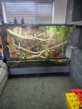 Extra large glass vivarium - glass,