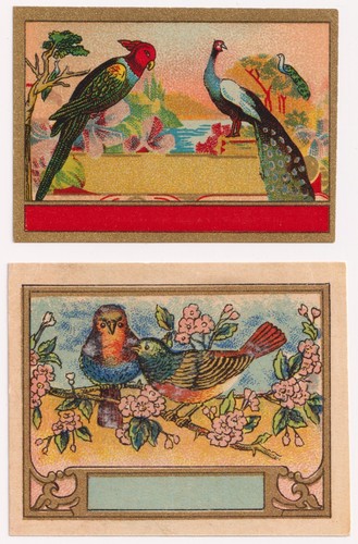Antique bird lithograph - bird, labels