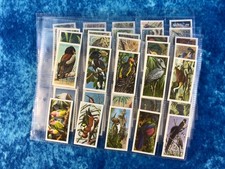 Brooke Bond Tropical Birds