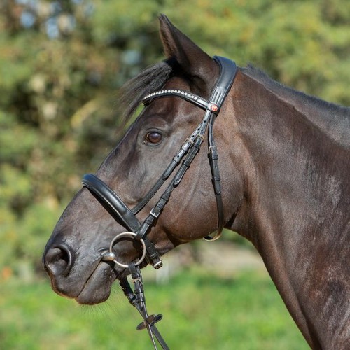 Kieffer bridle ultrasoft sue - bridle, ultrasoft®