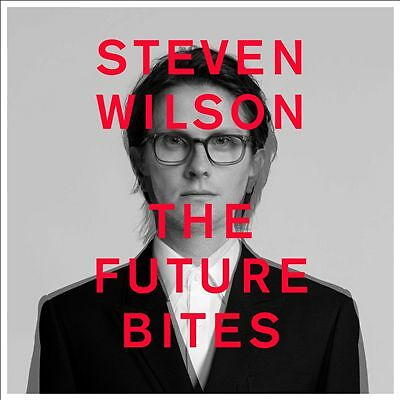 Steven wilson the future - steven,
